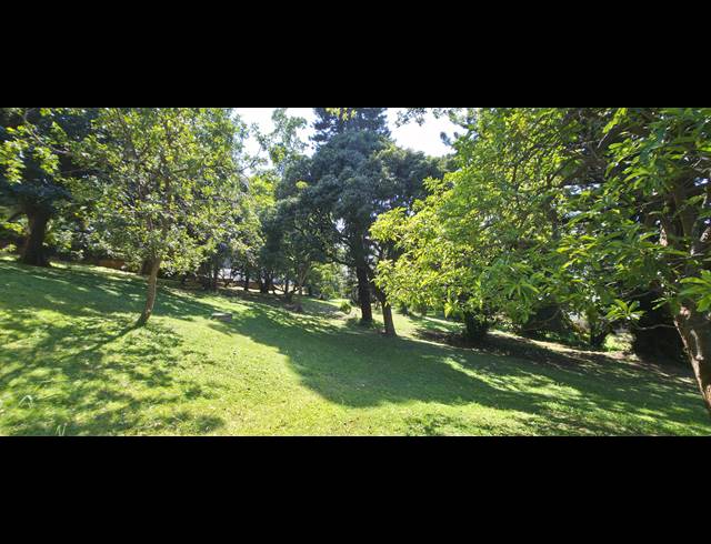 1.5 BEDROOM APARTMENT TO LET IN GLENWOOD